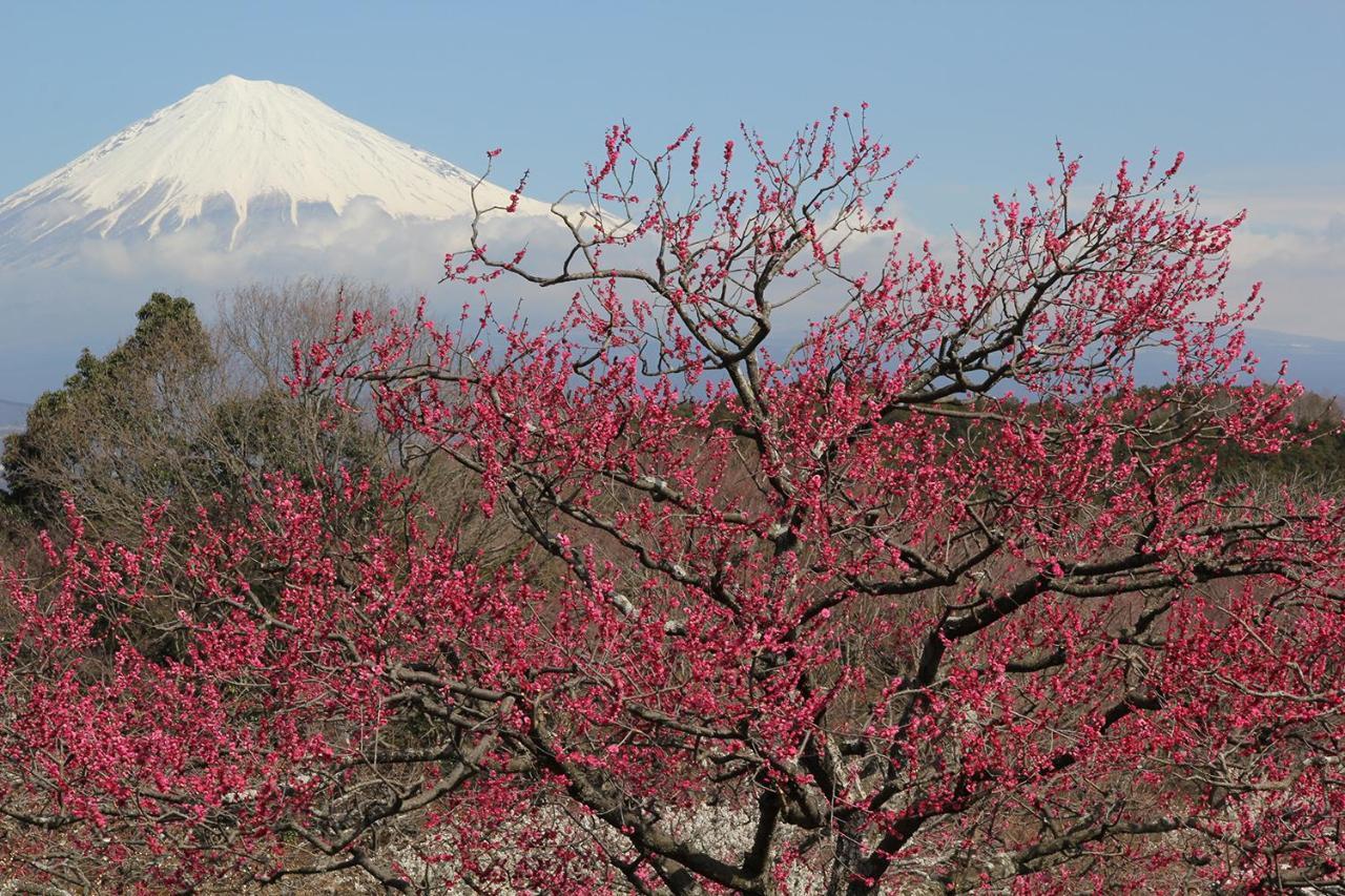Business Hotel Sunpu Shizuoka Zewnętrze zdjęcie