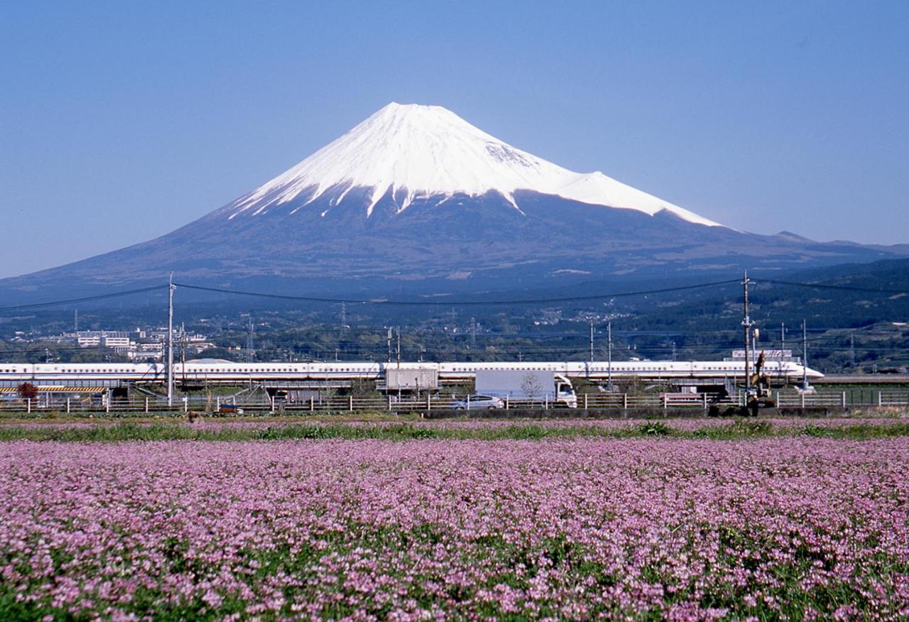 Business Hotel Sunpu Shizuoka Zewnętrze zdjęcie